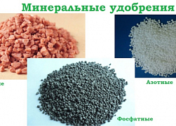 Минеральные