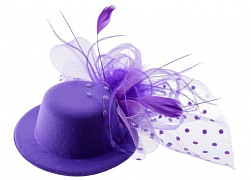 Вуали [одежда]