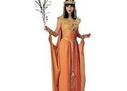 Маскарадный костюм для взрослых