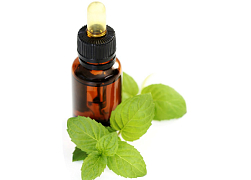 Освежающие