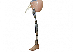 Протезы конечностей