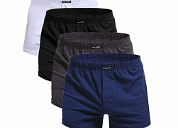 Боксеры [шорты]